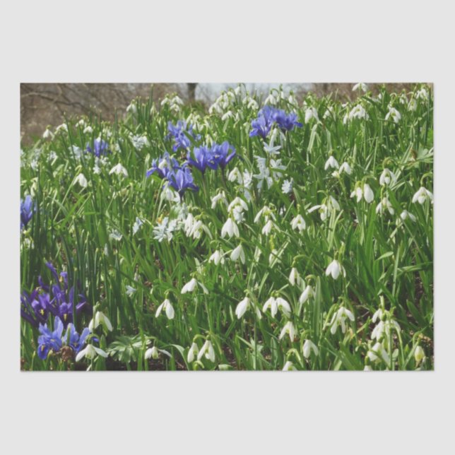Hillside of Early Spring Flowers Landscape Tissue Paper (Front)