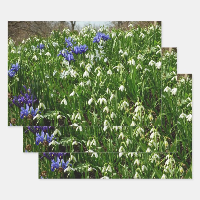 Hillside of Early Spring Flowers Landscape Wrapping Paper Sheets (Set)