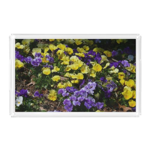 Hillside of Purple and Yellow Pansies Acrylic Tray