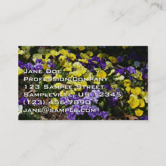 Hillside of Purple and Yellow Pansies Business Card (Front)