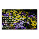 Hillside of Purple and Yellow Pansies Business Card Magnet