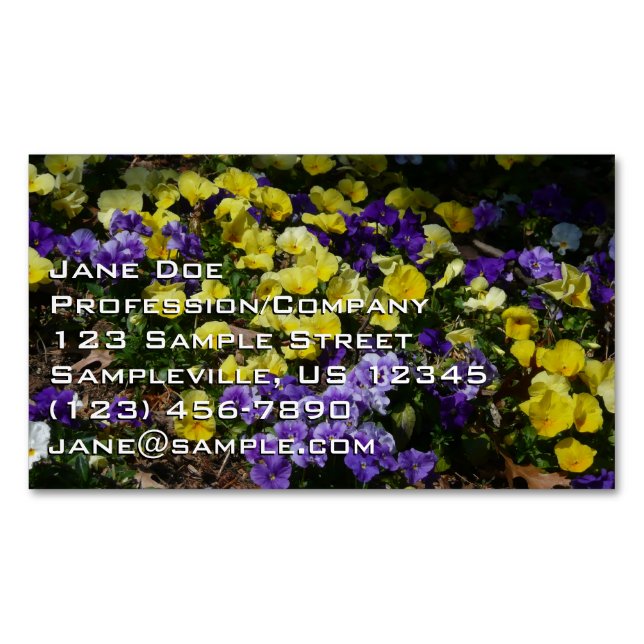 Hillside of Purple and Yellow Pansies Business Card Magnet (Front)