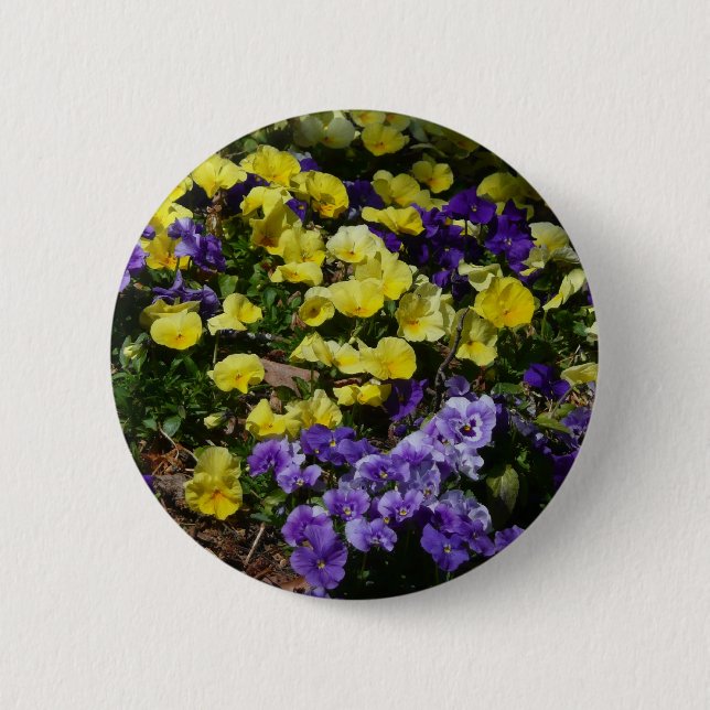 Hillside of Purple and Yellow Pansies Button (Front)