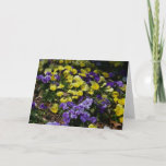Hillside of Purple and Yellow Pansies Card
