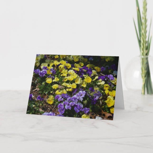 Hillside of Purple and Yellow Pansies Card (Front)