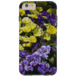 Hillside of Purple and Yellow Pansies Tough iPhone 6 Plus Case