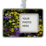 Hillside of Purple and Yellow Pansies Christmas Ornament