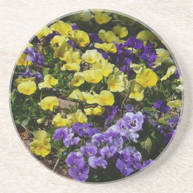 Hillside of Purple and Yellow Pansies Coaster (Front)