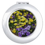 Hillside of Purple and Yellow Pansies Compact Mirror