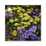 Hillside of Purple and Yellow Pansies Favor Tags