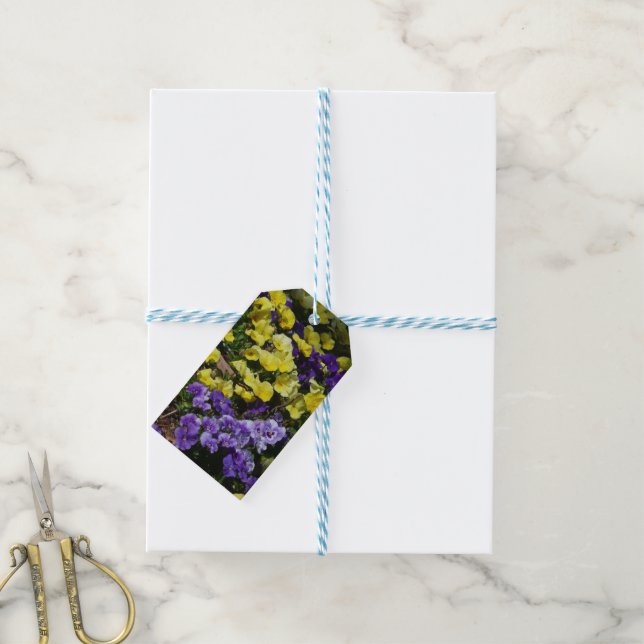 Hillside of Purple and Yellow Pansies Gift Tags (With Twine)