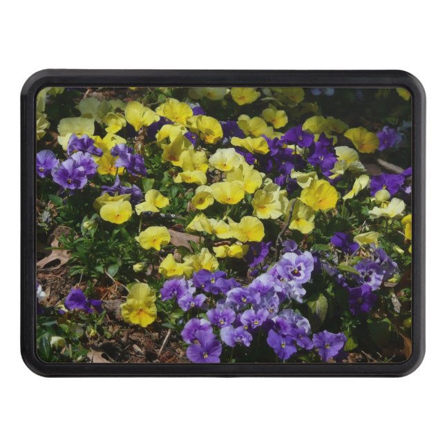 Hillside of Purple and Yellow Pansies Hitch Cover (Front)