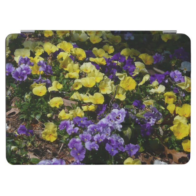 Hillside of Purple and Yellow Pansies iPad Air Cover (Horizontal)