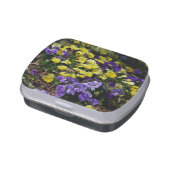 Hillside of Purple and Yellow Pansies Jelly Belly Tin (Side)