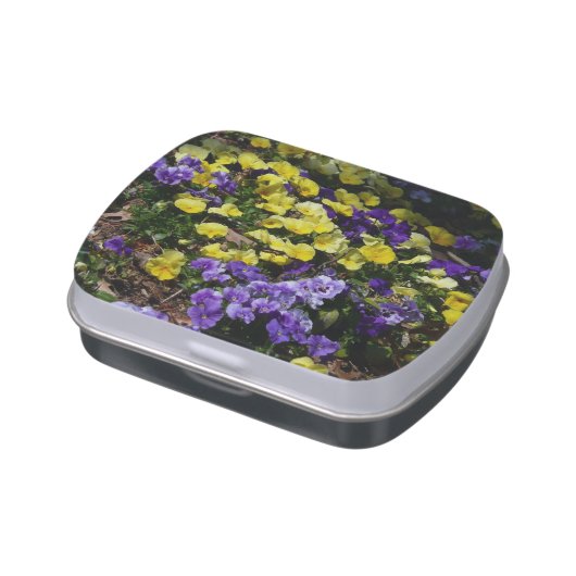 Hillside of Purple and Yellow Pansies Jelly Belly Tin (Side)