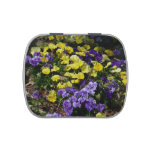 Hillside of Purple and Yellow Pansies Jelly Belly Tin