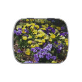 Hillside of Purple and Yellow Pansies Jelly Belly Tin (Top)
