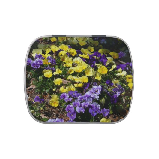 Hillside of Purple and Yellow Pansies Jelly Belly Tin (Top)