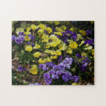 Hillside of Purple and Yellow Pansies Jigsaw Puzzle