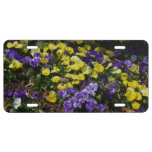 Hillside of Purple and Yellow Pansies License Plate