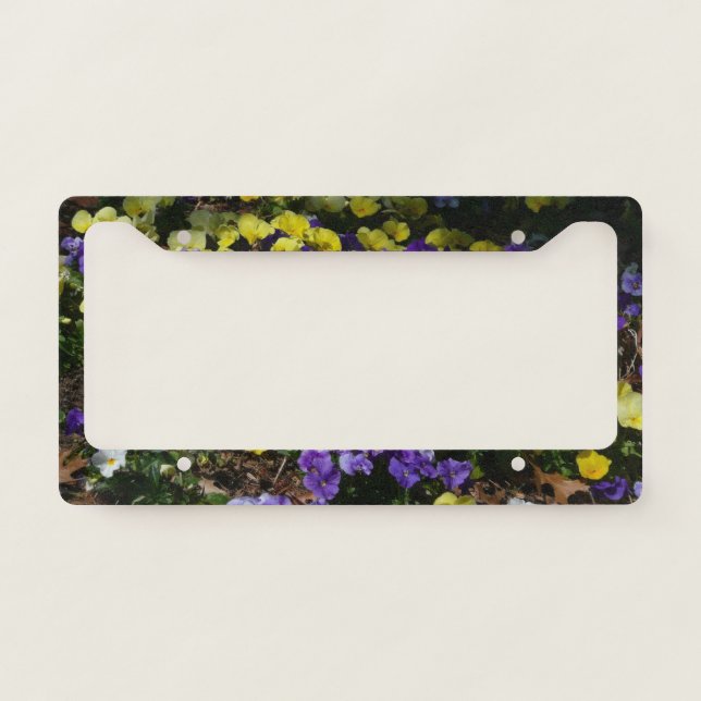 Hillside of Purple and Yellow Pansies License Plate Frame (Front)
