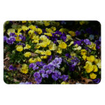 Hillside of Purple and Yellow Pansies Magnet