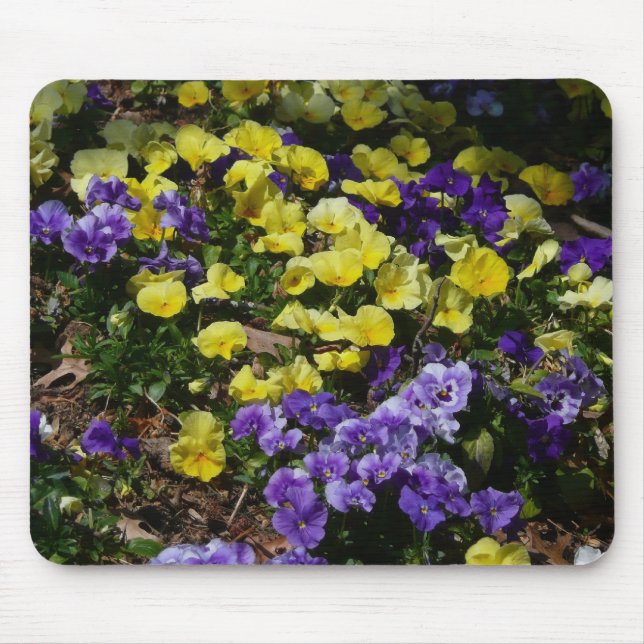 Hillside of Purple and Yellow Pansies Mouse Pad (Front)