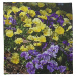 Hillside of Purple and Yellow Pansies Napkin