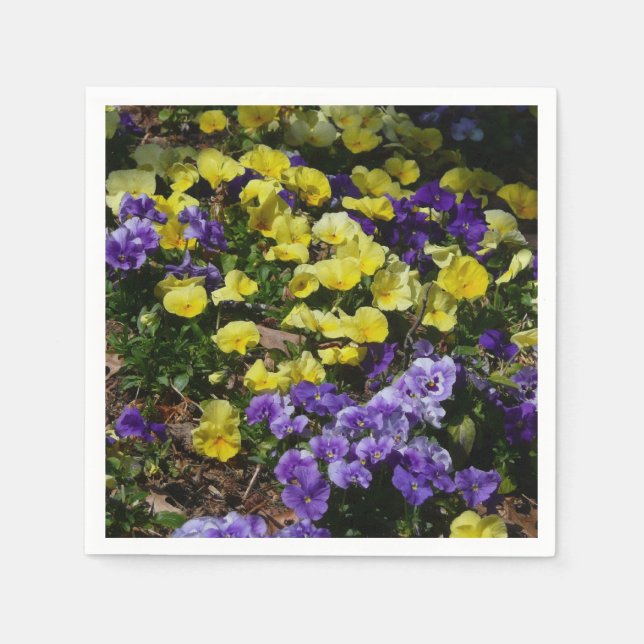Hillside of Purple and Yellow Pansies Napkins (Front)