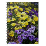 Hillside of Purple and Yellow Pansies Notebook