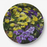 Hillside of Purple and Yellow Pansies Paper Plates