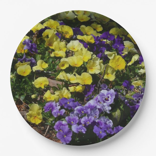 Hillside of Purple and Yellow Pansies Paper Plates (Front)