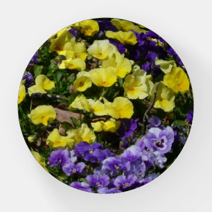 Hillside of Purple and Yellow Pansies Paperweight