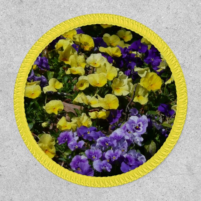 Hillside of Purple and Yellow Pansies Patch (Front)