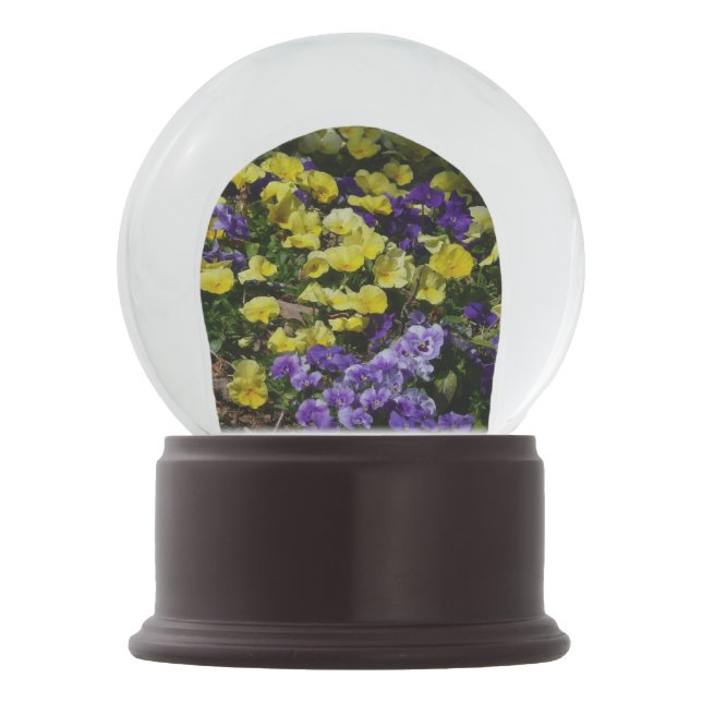 Hillside of Purple and Yellow Pansies Snow Globe (Front)