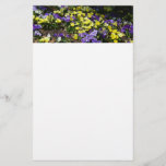 Hillside of Purple and Yellow Pansies Stationery