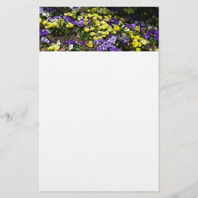 Hillside of Purple and Yellow Pansies Stationery (Front)