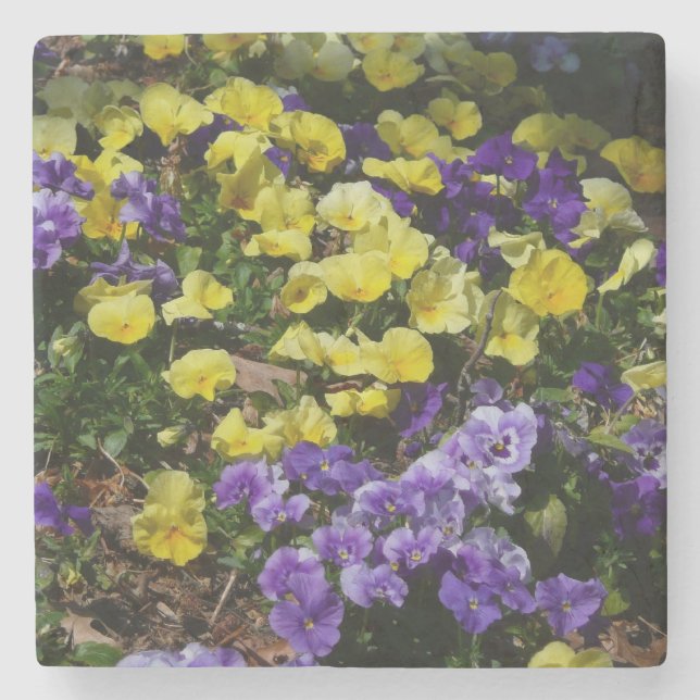 Hillside of Purple and Yellow Pansies Stone Coaster (Front)