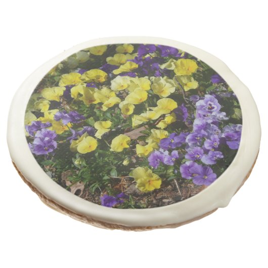 Hillside of Purple and Yellow Pansies Sugar Cookie (Angled)