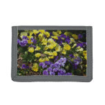 Hillside of Purple and Yellow Pansies Trifold Wallet