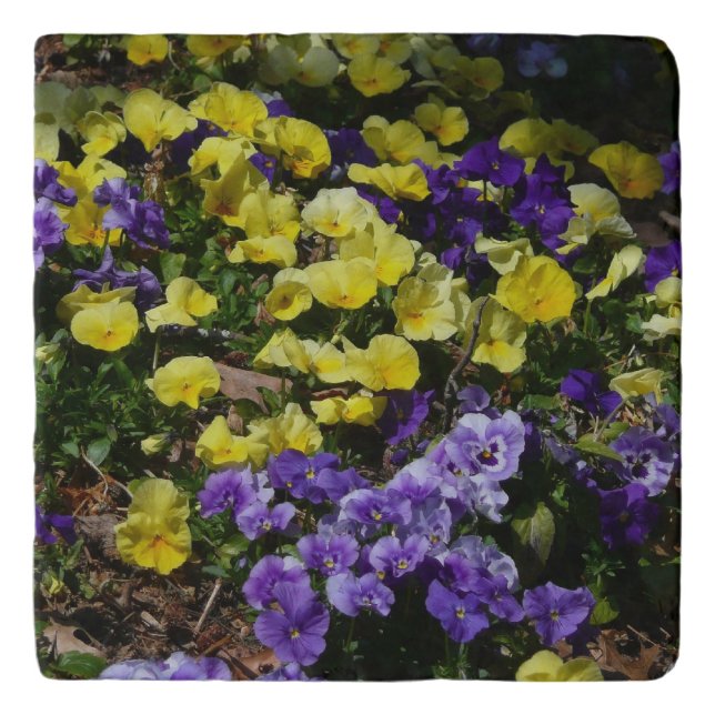 Hillside of Purple and Yellow Pansies Trivet (Front)