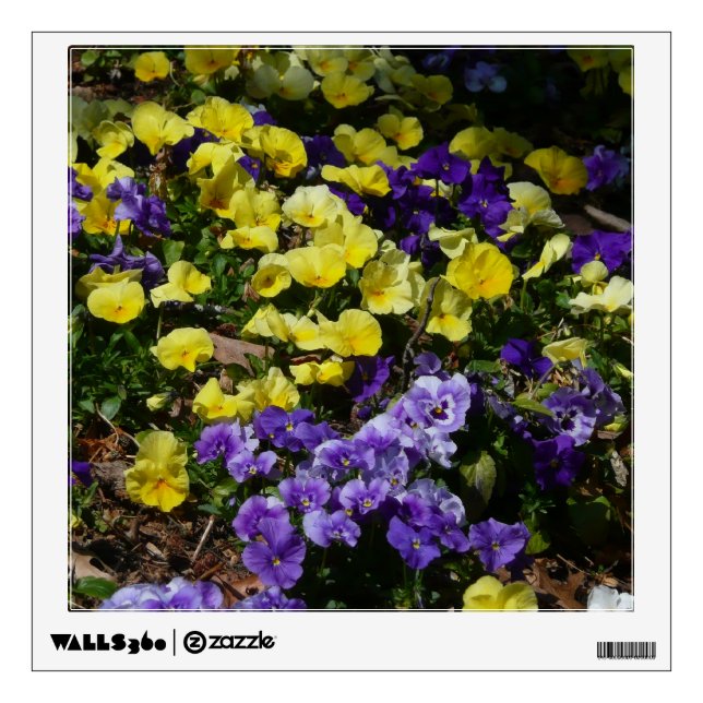 Hillside of Purple and Yellow Pansies Wall Decal (Front)