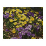 Hillside of Purple and Yellow Pansies Wood Wall Decor
