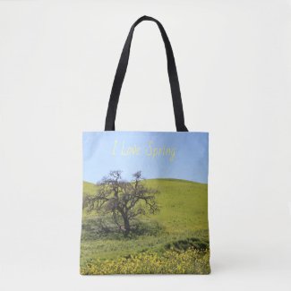 Hillside Photo Oak Nature Scenic Photograph