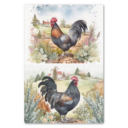 Hillside Roosters Tissue Paper