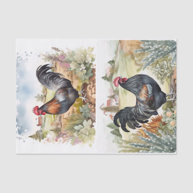 Hillside Roosters Tissue Paper (Front)