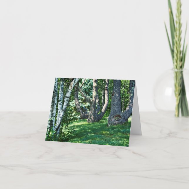 Hillside Trees Card (Front)
