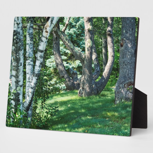 Hillside Trees Plaque (Side)