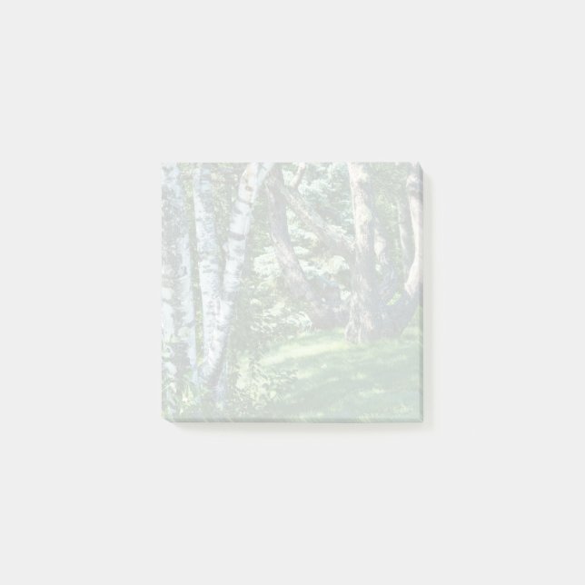 Hillside Trees Post-it Notes (Front)