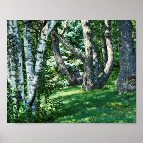 Hillside Trees Poster